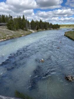 Firehole River Following June 13 Hydrothermal Explosions