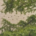 Fondation Beyeler. Image © Mark Niedermann Fondation Beyeler to Open Expanded Campus by Peter Zumthor in 2027 - Image 4 of 7