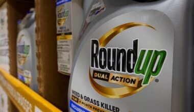 Supreme Court sides with Monsanto in case over cancer risks from weedkiller Roundup