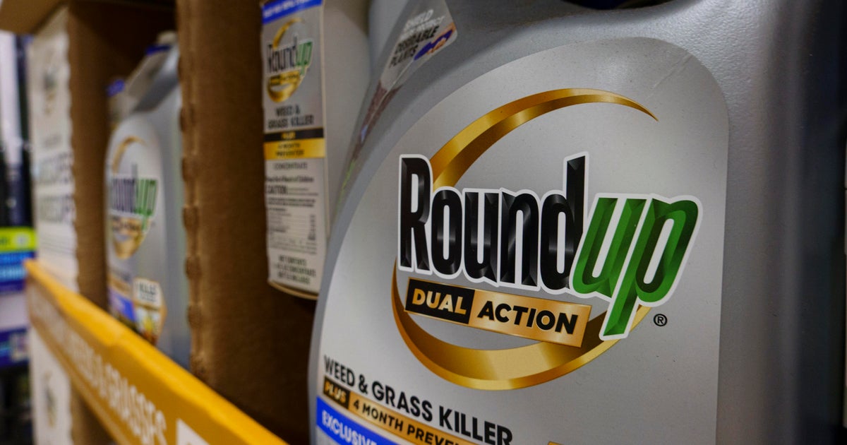 Supreme Court sides with Monsanto in case over cancer risks from weedkiller Roundup