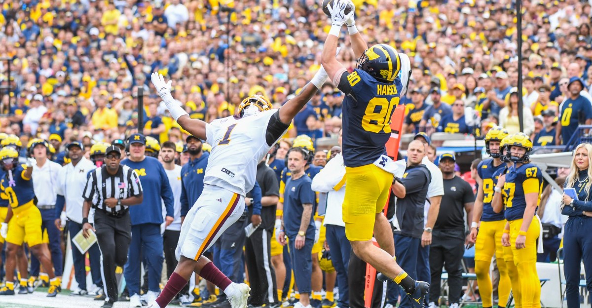 Why this Michigan Football TE could have a HUGE breakout season in 2026