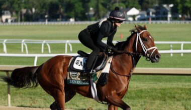 Meet the Belmont Stakes horses running in the 2026 race