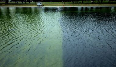 Trump claims Reflecting Pool was vandalized and says law enforcement is investigating