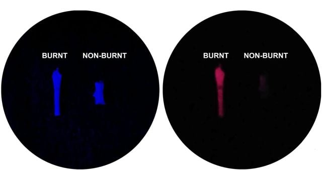 Human Ancestors May Have Been Using Fire Much Earlier Than We Thought