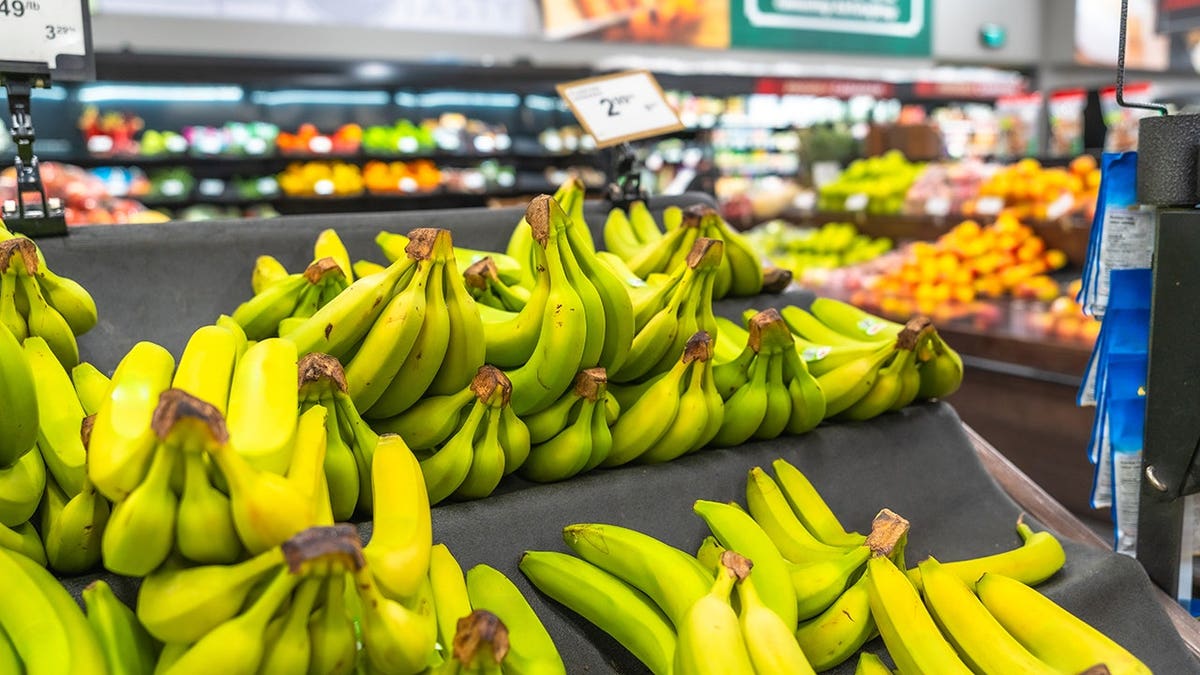 Bunches of vibrant green bananas arranged on a dark gray produce display in a supermarket.