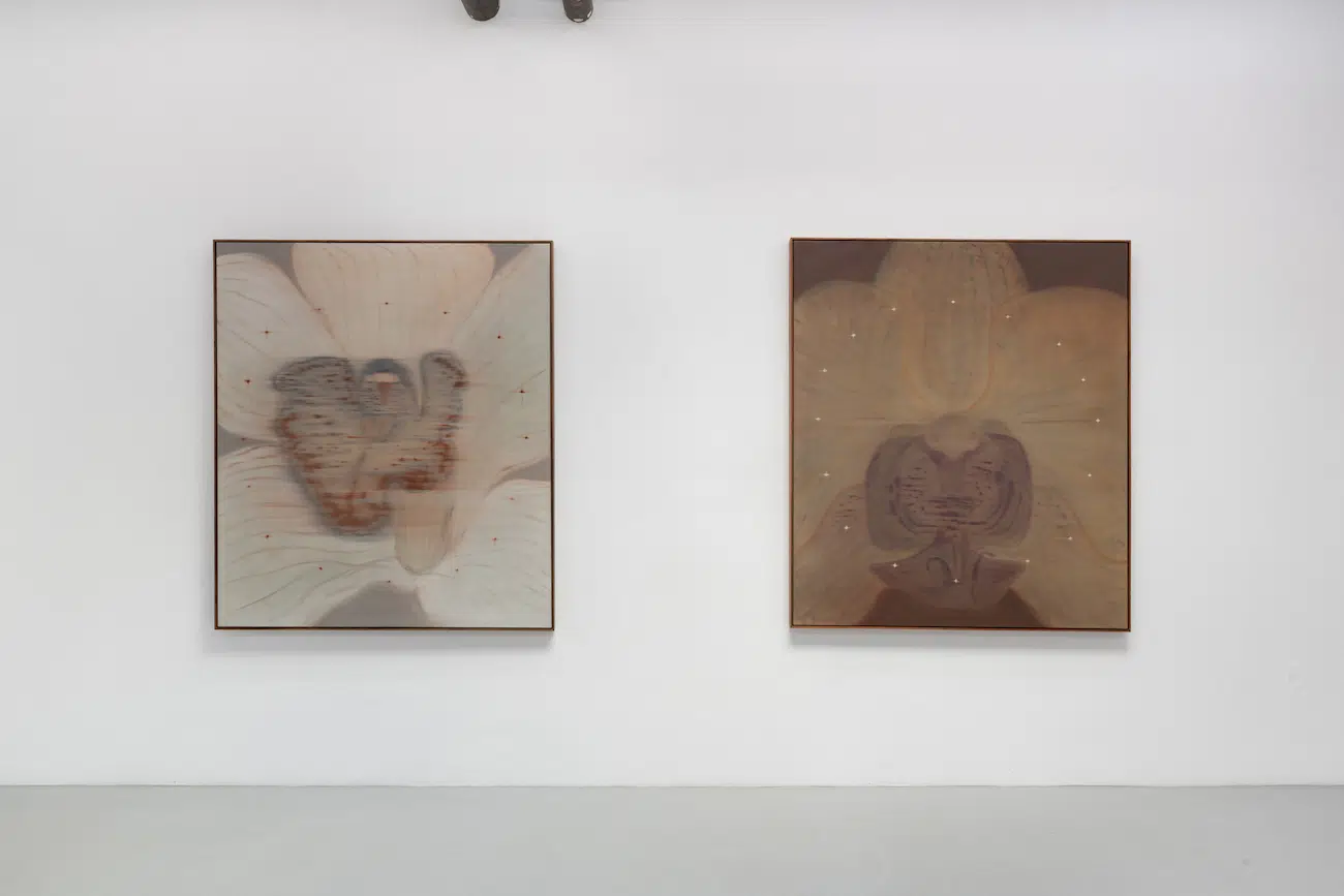 Heath Wae, installation views of “Mineral Meridian” at CARVALHO, New York, 2026.Courtesy Heath Wae and CARVALHO