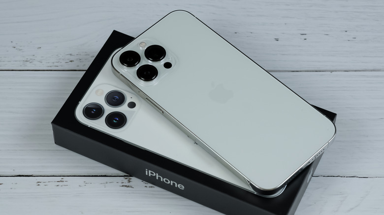 The silver iPhone 13 Pro Max, featuring a stainless steel frame.