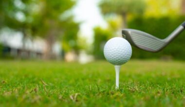 Couple’s golf course joy ride ends in arrests – WSOC TV