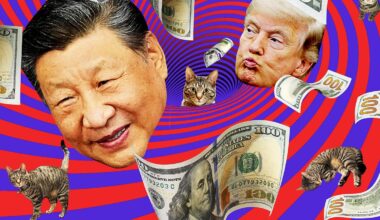 Banks, Trump, China, and Cats: The Most Boring Story Ever Told