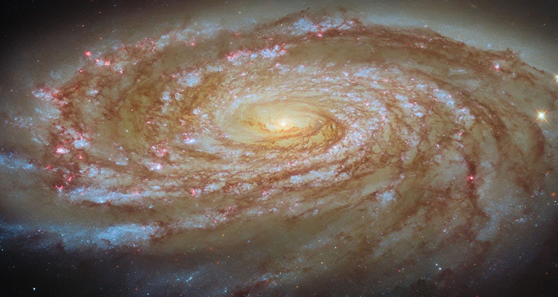 A large spiral galaxy. It is seen tilted at an angle, so that it is foreshortened and appears very wide. Its tightly-wound, blue spiral arms swirl out from its glowing center, spreading apart at the tips. They are followed by strands and clumps of dark red dust and spotted with pink dots where stars are forming in clouds of gas. The galaxy is surrounded by a slight glow and lies on a dark background.