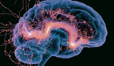 Neuroscience News logo for mobile.