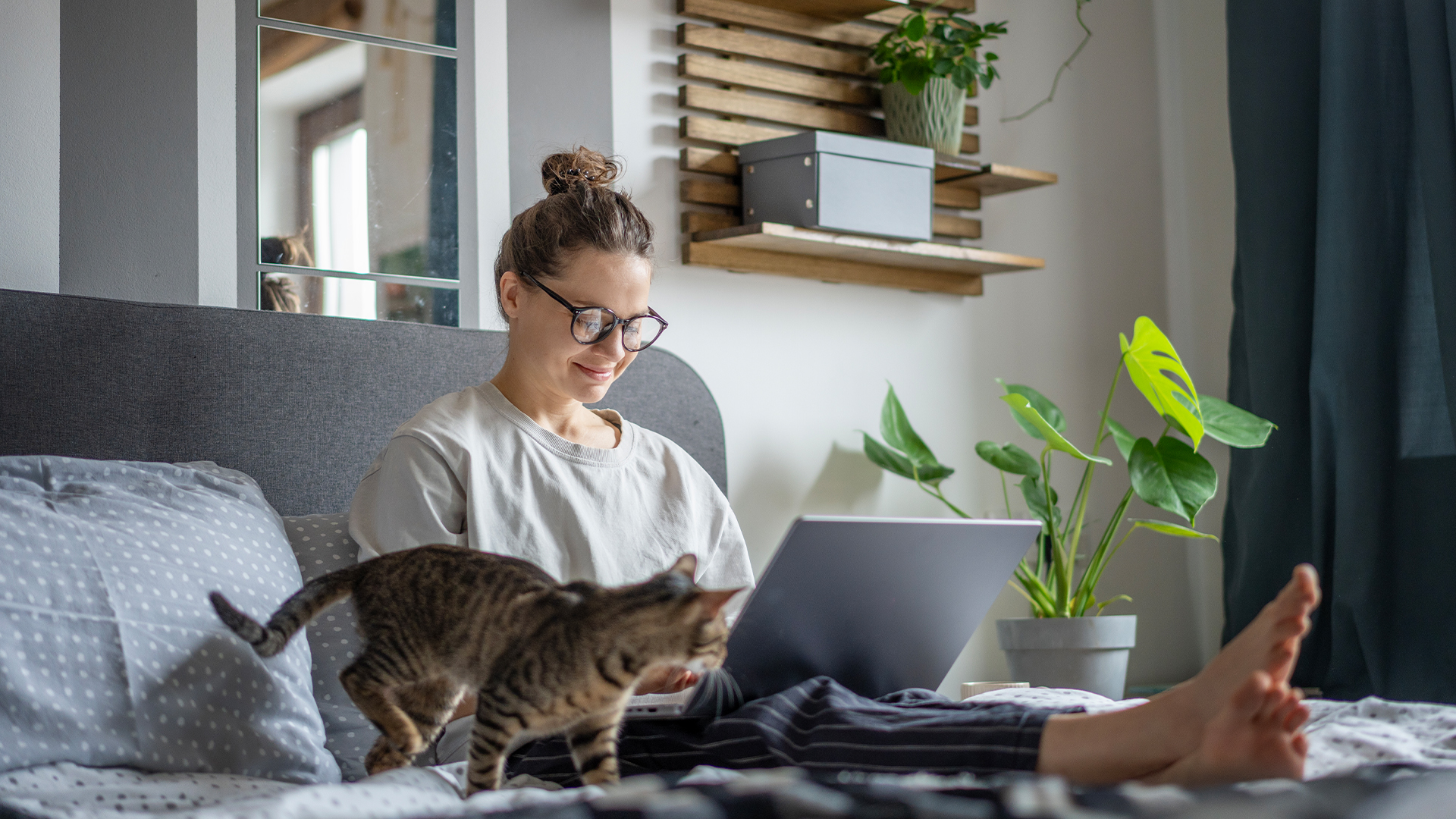A woman sits on the sofa with a laptop on her lap, her cat looking at it with curiosity
