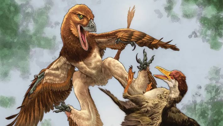 New Microraptorine Dinosaur Discovered in China