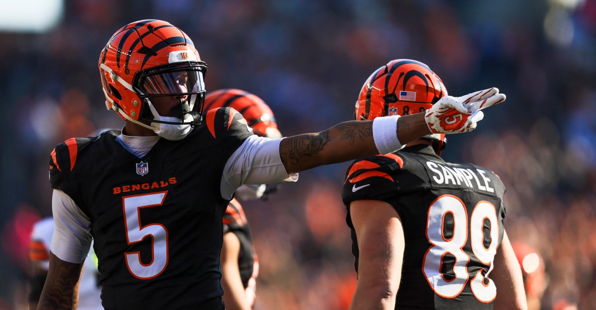 Bengals’ Steve Radicevic says team “not done” making roster moves