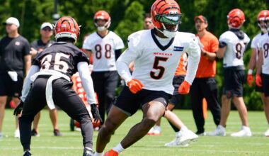 Highlights and reactions from Bengals Minicamp Day 1