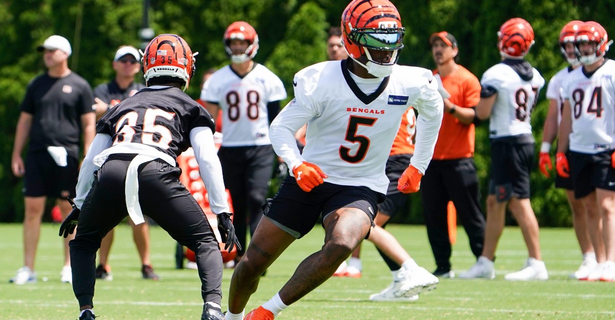 Highlights and reactions from Bengals Minicamp Day 1