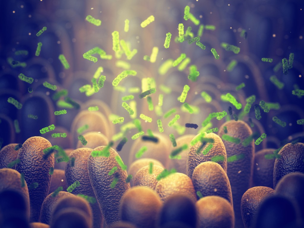 Illustration of intestinal villi with green bacteria, representing the gut microbiome.