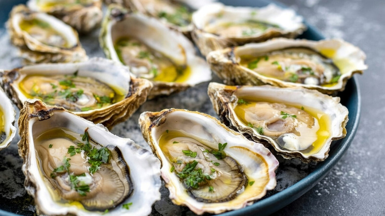 Fresh oysters on half shell