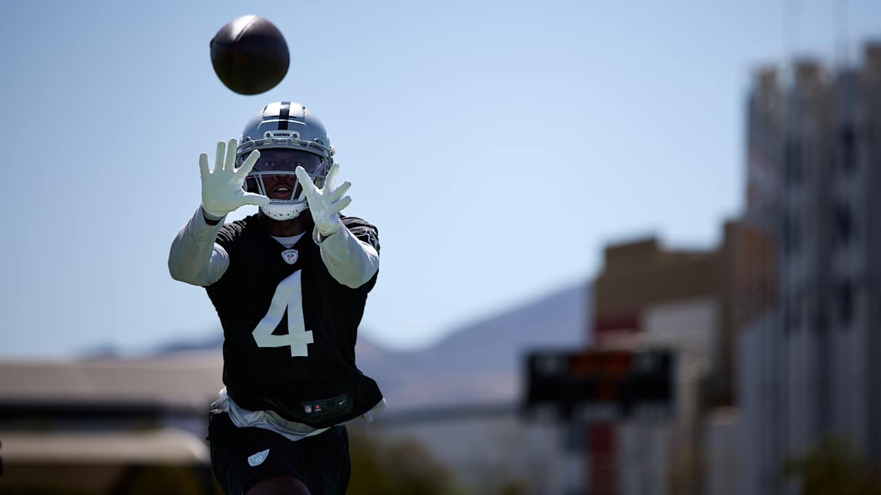 Las Vegas Raiders logo