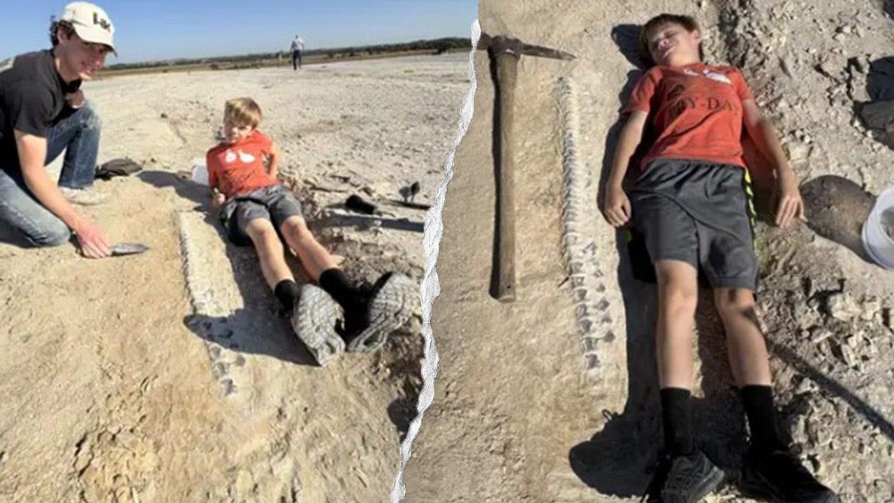 Kansas boy discovers 15-foot tylosaurus fossil on geology club trip