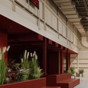 © Alex Lesage KOPA / Ivy Studio - Image 5 of 21