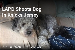 LAPD Shooting of Dog in Knicks Jersey Sparks Outrage