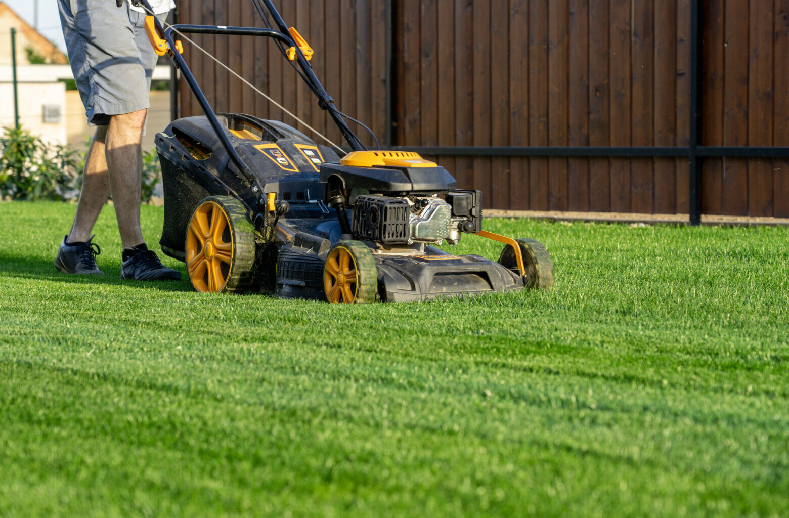 Worried about your lawn in the drought? ‘Do as little as possible’ Virginia Tech expert says