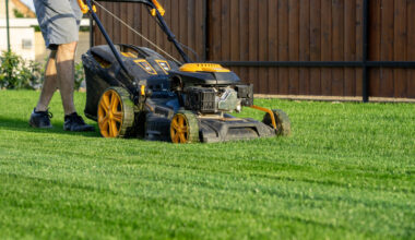 Worried about your lawn in the drought? ‘Do as little as possible’ Virginia Tech expert says