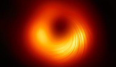 Polarised emission of the black hole at the heart of M87. The lines mark the orientation of polarisation, which is related to the magnetic field around the shadow of the black hole (Credit : EHT Collaboration)