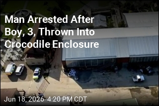 Man Arrested After Boy, 3, Thrown Into Crocodile Enclosure