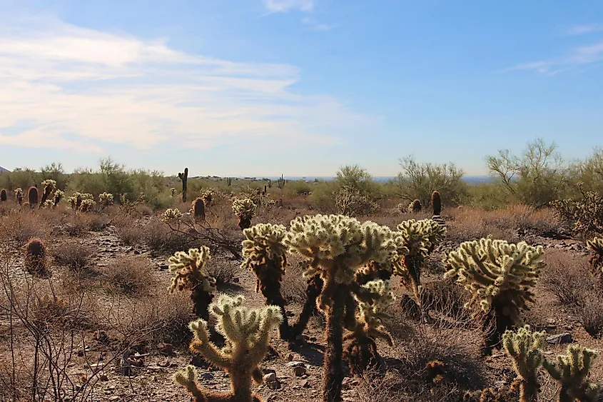 Boulders and desert trails at the McDowell Sonoran Preserve in Scottsdale, Arizona.