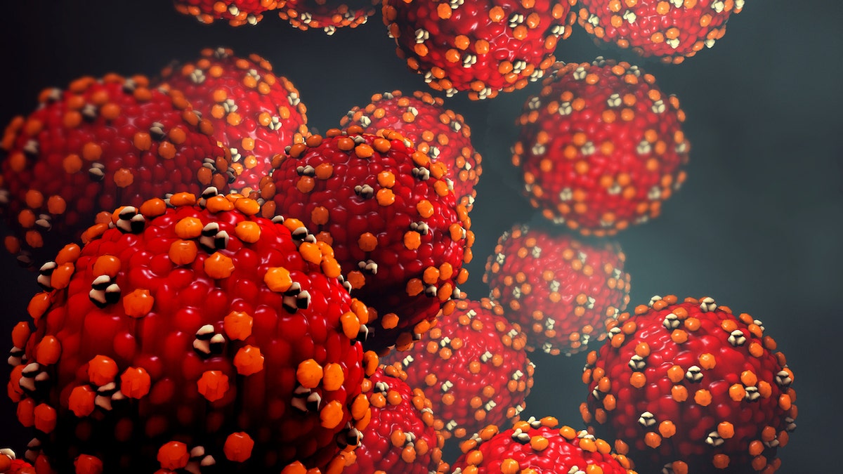 3D illustration of measles virus particles