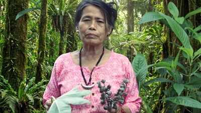 Meet Yanung Jamoh Lego: India's 'Queen of Herbs' who has treated over 300,000 people with chronic diseases, naturally