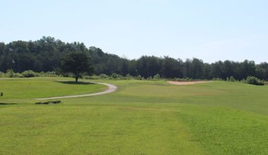 mill quarter tee box Cropped