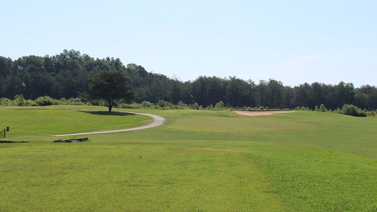 mill quarter tee box Cropped
