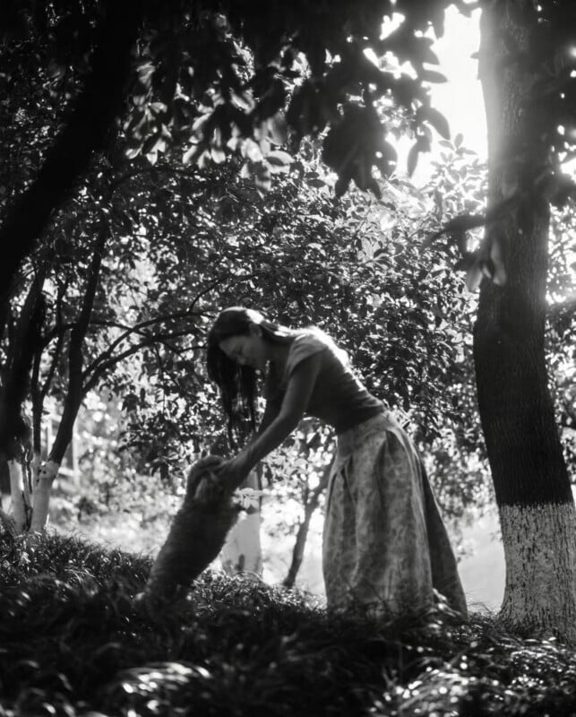 A woman in a long skirt bends down to pet a fluffy cat in a sunlit, wooded area. Trees with dappled sunlight surround them, creating a peaceful, natural atmosphere.