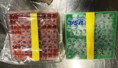 Feds Charge 2 NIH Scientists With ‘Conspiracy to Smuggle’ Deadly Virus