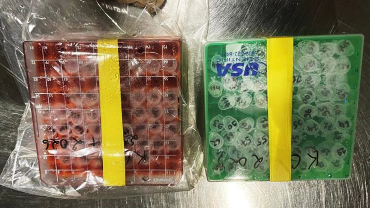 Feds Charge 2 NIH Scientists With ‘Conspiracy to Smuggle’ Deadly Virus