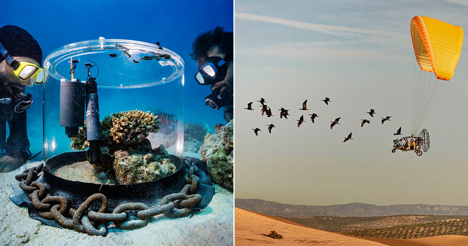 Split image: On the left, scuba divers observe equipment in a clear cylinder on the ocean floor. On the right, a person in a powered paraglider flies beside a flock of birds over a sandy landscape.