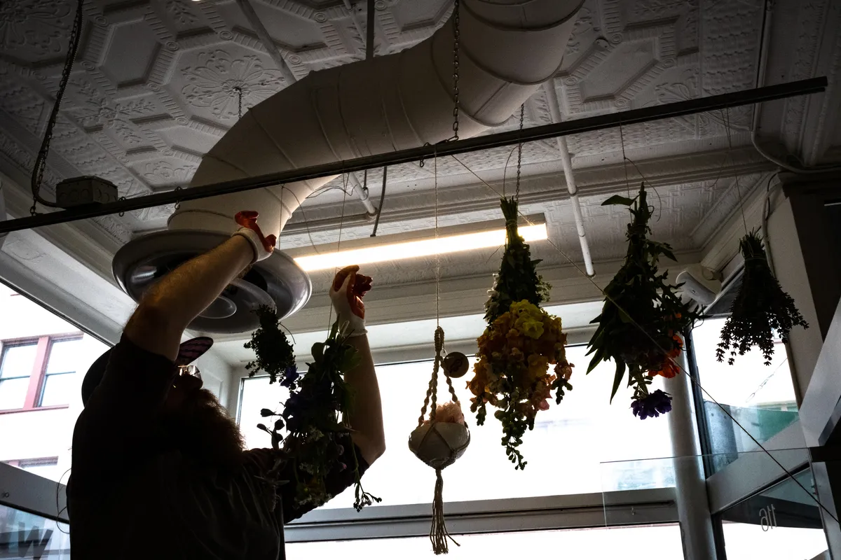 Mainers are turning to plants for health care as conventional treatment is harder to get