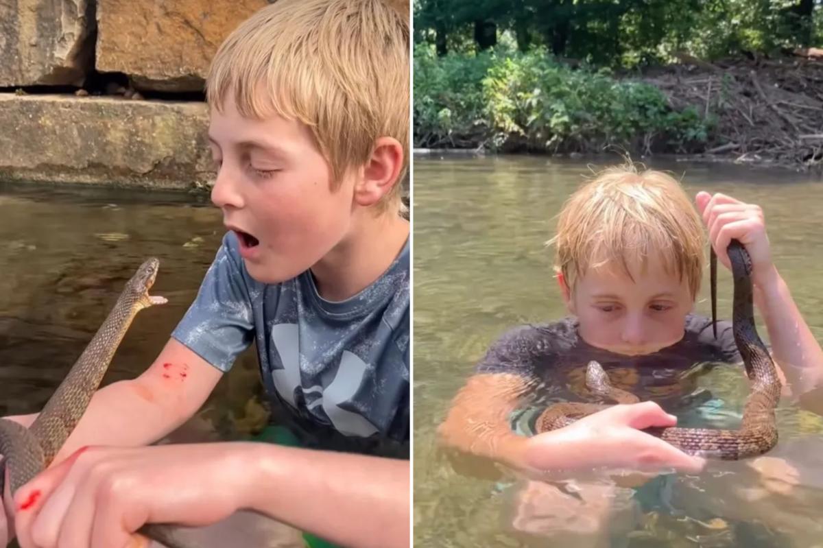 'Little Steve Irwin' snatches up snakes, braves their bites for fun