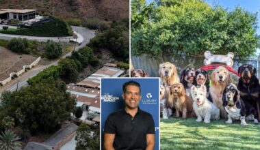 Kamran Razavi of REKLAIM files lawsuit againt Malibu Dog Hotel
