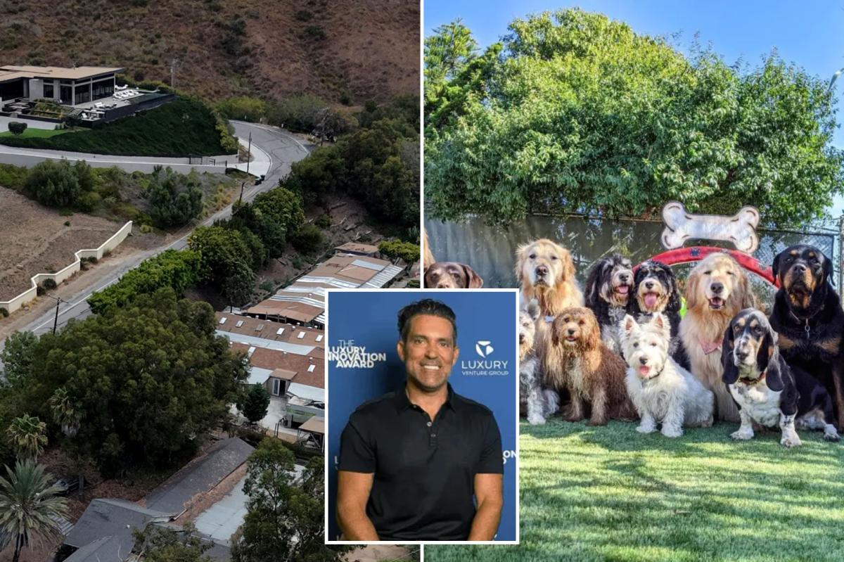 Kamran Razavi of REKLAIM files lawsuit againt Malibu Dog Hotel