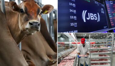 World's largest meat supplier JBS USA shuts two plants