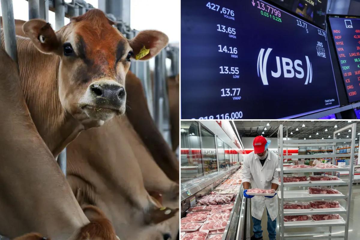 World's largest meat supplier JBS USA shuts two plants