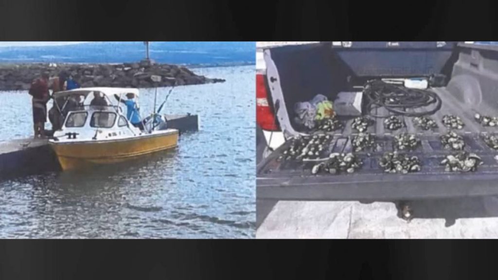 State seeks to fine 3 Big Island men for illegal take of 4,000 ‘opihi from marine reserve : Big Island Now