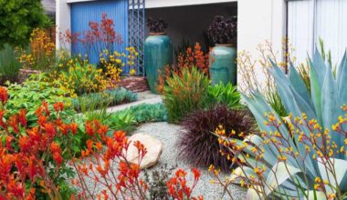 native garden, backyard transformation, native plants, gardening, landscaping, xeriscaping