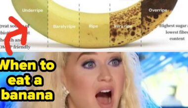 50 Cool Charts That Will Make You So Much Smarter