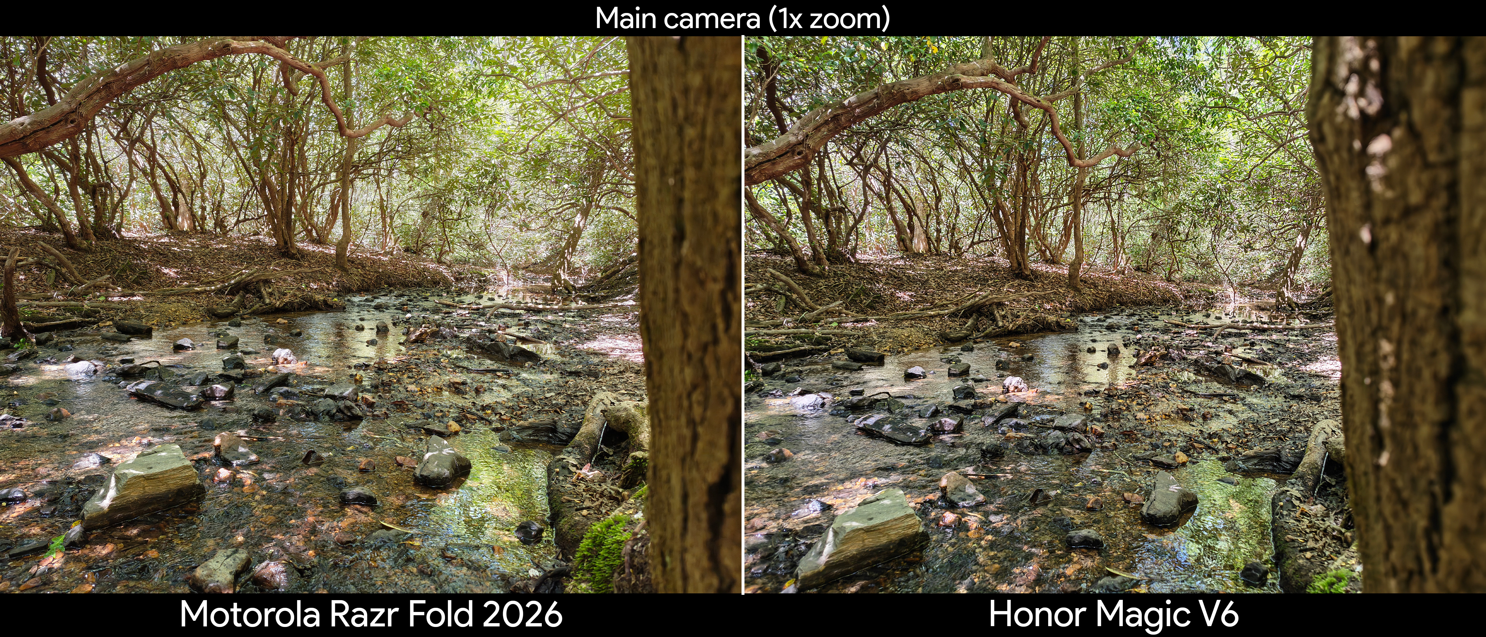 Comparing main and ultrawide camera quality between the Motorola Razr Fold 2026 and Honor Magic V6