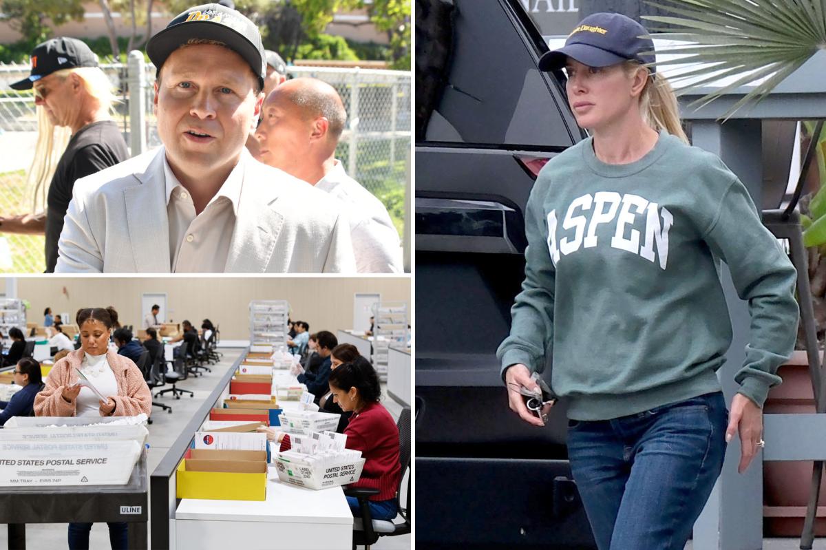 Spencer Pratt sums up LA's glacial vote count in a single image